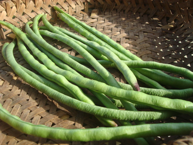 蛇豆要煮多久能好 70以上菜豆长豆料理 上海轩冶木业有限公司